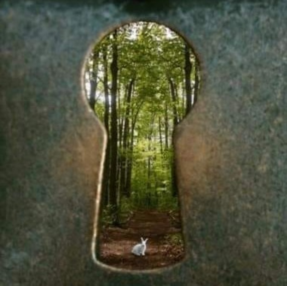 Meet your Posher, Lara